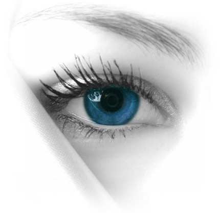 oog